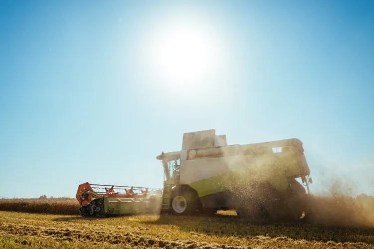 El Sector Productivo Impulsa Nuevamente el Crecimiento Económico de Paraguay con Fuerte Desempeño en Agricultura y Ganadería