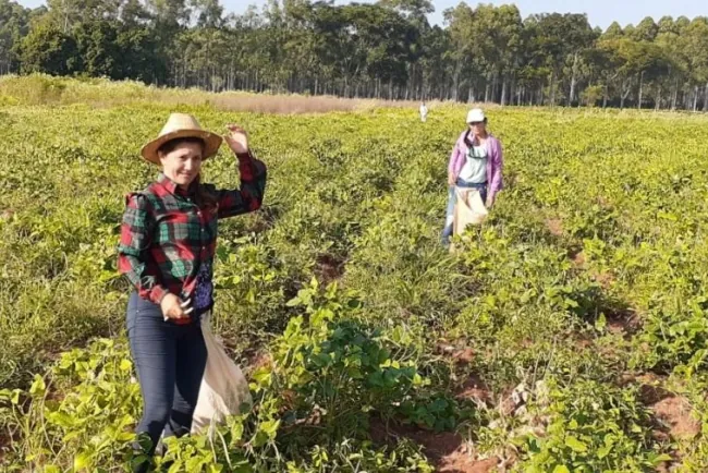 Paraguay celebra el liderazgo de las Mujeres Rurales: pilares del desarrollo y la sostenibilidad