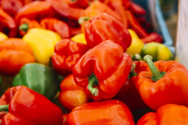 Paraguay amplía su oferta agrícola: locote y repollo serán los próximos en llegar al mercado argentino