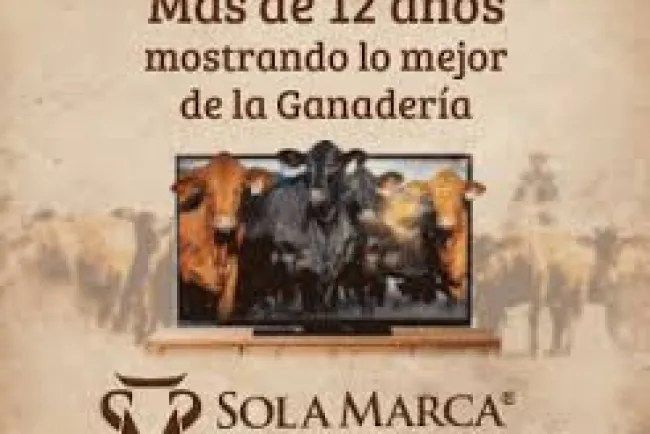 Jornada Técnica del Grupo CREA: Innovación en Ganadería, Agricultura y Forestación en La Celestina