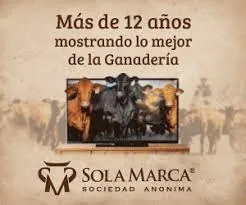 Jornada Técnica del Grupo CREA: Innovación en Ganadería, Agricultura y Forestación en La Celestina