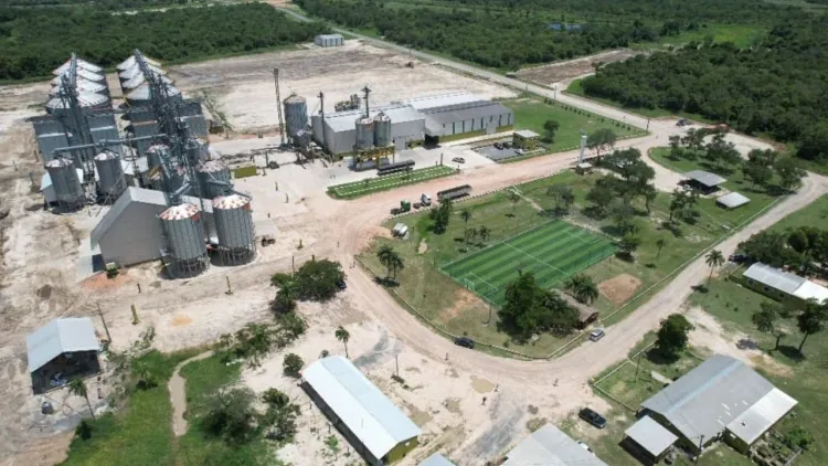 Camil Alimentos Desembarca en Paraguay: Impulso a la Producción Arrocera y Conexión Global