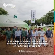 Carinata: El Cultivo Sostenible que Revoluciona la Agricultura Paraguaya
