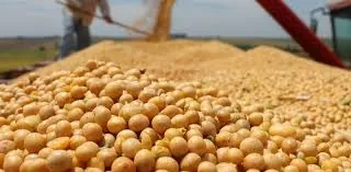 Evaluación del 2024: Recuperación en el Agro con Perspectivas Favorables y Desafíos Pendientes